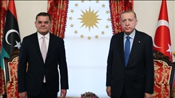 الرئيس أردوغان يعزي الدبيبة في مصرع الوفد العسكري الليبي