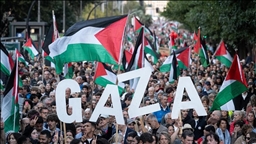 Мировая общественность в 2025 году громче выразила протест против атак Израиля на Газу