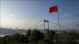 Турецкая внешняя политика в 2025 году в цифрах