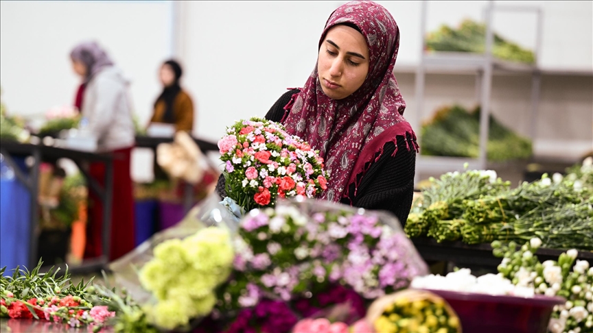 قطاع الأزهار التركي يسعى لزيادة صادراته إلى الخليج العربي