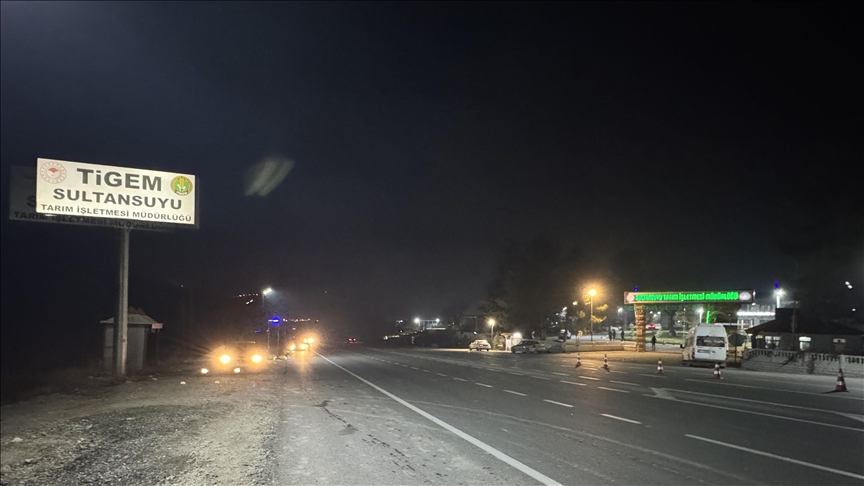 Malatya'da aracın çarptığı 6 safkan Arap tayı telef oldu