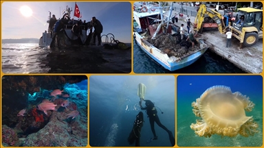 Deniz ve iç sulardan bu yıl 360 bin metrekare hayalet ağ temizlendi