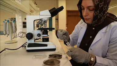 Organik içerikli solüsyon, tarımsal ürünlerin kalitesini artırıp raf ömrünü uzatıyor