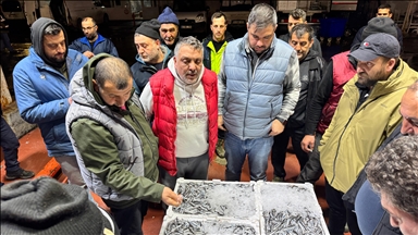 Kocaeli'de balık mezatlarında en yoğun rekabet hamside yaşandı