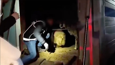 Siirt'te hayvanların karın boşluklarına uyuşturucu gizleyen 2 şüpheli gözaltına alındı