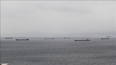 Fırtınadan kaçan yük gemileri Sinop doğal limanına sığındı