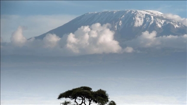 Tanzani, 5 persona humbin jetën nga rrëzimi i helikopterit të shpëtimit