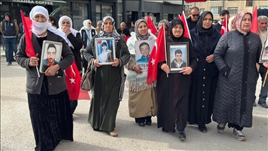 Malbatên Wanî çalakiya xwe ya li ber Serokatiya Bajêr a DEM Partiyê domand