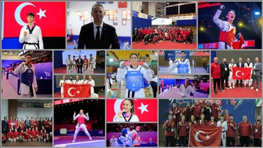 Türk tekvandosunun "altın" yılı