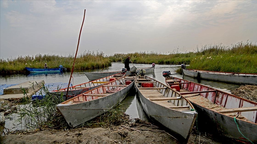 Мочуриштето Шадеган во Иран се соочува со ризик од целосно пресушување