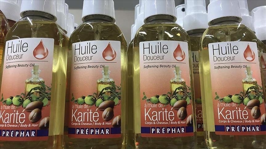 Les dérèglements climatiques menacent « l’or des femmes », le beurre de karité, dans le Sahel d’Afrique de l’Ouest