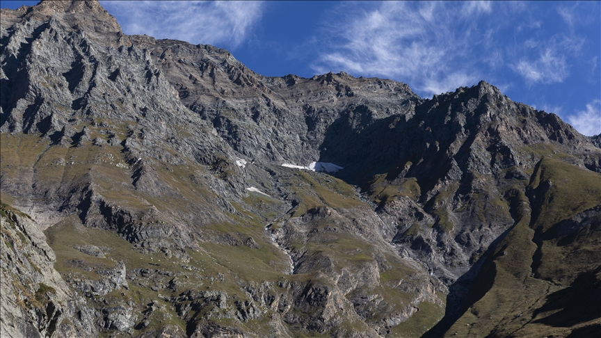 La reprise du pâturage dans les Alpes pourrait favoriser des écosystèmes plus résilients
