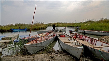 Мочуриштето Шадеган во Иран се соочува со ризик од целосно пресушување