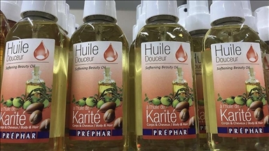 Climate shifts endanger ‘women’s gold’ shea butter across West Africa’s Sahel