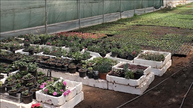 Fide sektörüne yönelik rekabet soruşturması başlatıldı