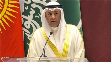 "التعاون الخليجي": اعتراف إسرائيل باستقلالية "أرض الصومال" تجاوز خطير