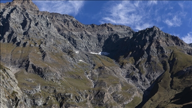 La reprise du pâturage dans les Alpes pourrait favoriser des écosystèmes plus résilients