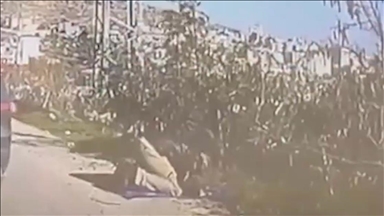 İsrail askeri, Batı Şeria'da yol kenarında namaz kılan Filistinliyi ATV ile ezdi