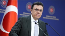 МИД Турции: Анкара «решительно поддерживает» территориальную целостность Сомали