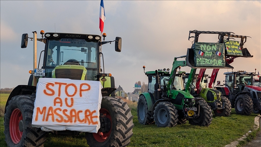 France : des agriculteurs maintiennent les blocages en Occitanie contre la dermatose bovine