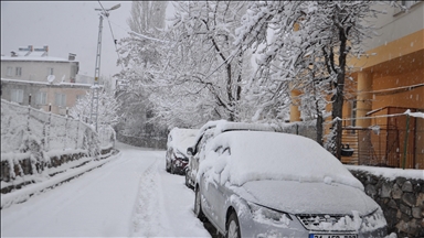 Li Wan, Hekarî, Bedlîs û Mûşê rêya 423 gund û gundwaran ji berfê girtî ne