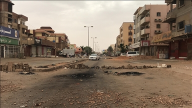 Women, children among over 200 Sudanese killed in ethnically motivated attacks by RSF in Darfur: Medics