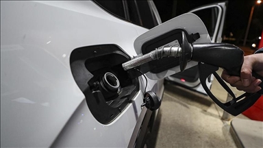 В РФ продлили временный запрет на экспорт бензина, дизеля и других видов топлива 