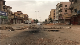 Women, children among over 200 Sudanese killed in ethnically motivated attacks by RSF in Darfur: Medics