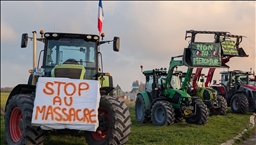 France : des agriculteurs maintiennent les blocages en Occitanie contre la dermatose bovine