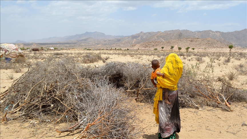 Global backlash grows over Israel’s recognition of Somaliland