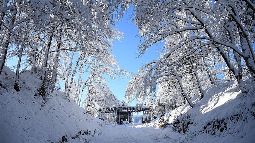 Düzce Korugöl Tabiat Parkı karla kaplandı