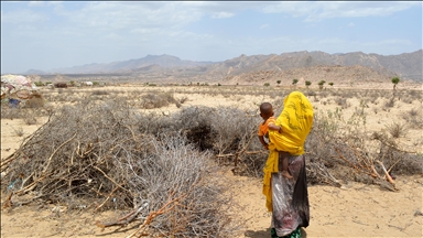 Global backlash grows over Israel’s recognition of Somaliland