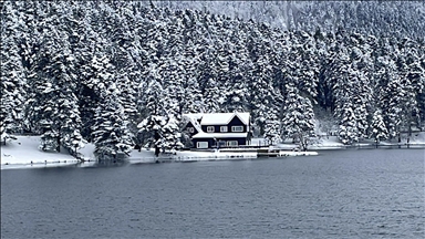 بولو التركية.. لوحات ثلجية آسرة في حديقة غولجوك الطبيعية