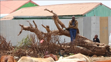 21 pays arabes, islamiques et africains condamnent et rejettent la reconnaissance israélienne du Somaliland