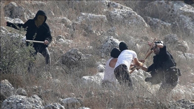 مستوطنون إسرائيليون يعتدون على ممتلكات فلسطينيين بالضفة