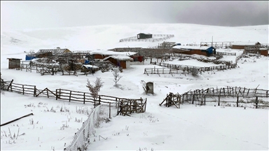 Li Beytuşşebapa navçeya Şirnexê rojek navber dan perwerdeyê