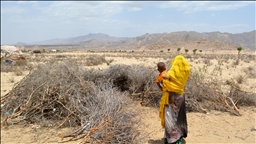 Global backlash grows over Israel’s recognition of Somaliland