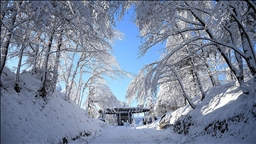 Düzce Korugöl Tabiat Parkı karla kaplandı