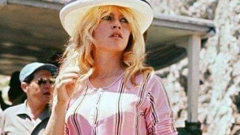 France / Hommage national à Brigitte Bardot : un sujet qui ravive les fractures politiques françaises