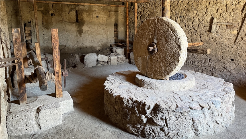 Gërmimet në qytetin antik Syedra të Turqisë zbulojnë se ishte qendër e madhe për prodhimin e vajit të ullirit