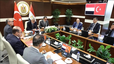 القاهرة.. وزيرا الصحة التركي والمصري يبحثان تعاون البلدين