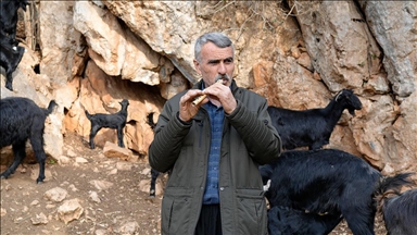 Yarım asırlık çoban kavalından çıkardığı nağmelerle sürüsünü kontrol ediyor