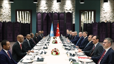 نشست هیئت‌های ترکیه و سومالی به ریاست اردوغان و محمود