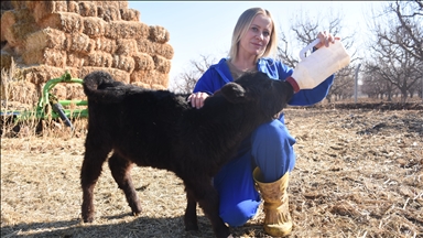 Karaman'da yaşayan genç kadın devlet desteğiyle hayvancılığa başladı