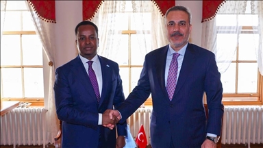 Turski i somalijski ministri vanjskih poslova na sastanku u Istanbulu