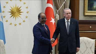 Serokomar Erdogan bi Serokomarê Somaliyê Mehmûd ra civiya