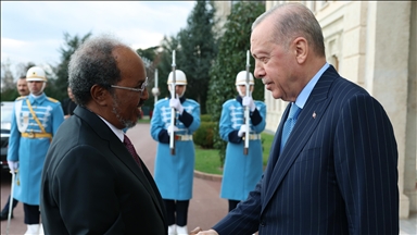 Türkiye : Le président Erdogan reçoit son homologue somalien à Istanbul