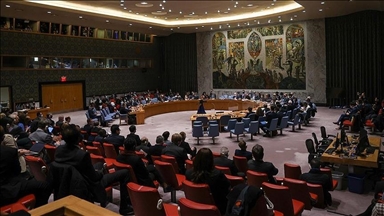 Совет Безопасности продлил мандат Сил ООН по наблюдению за разъединением