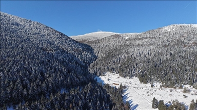 Samsun'da kar altındaki ormanlar dronla görüntülendi