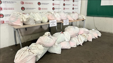 Kapıkule'de bir tırda esrar ve çok sayıda uyuşturucu hap ele geçirildi